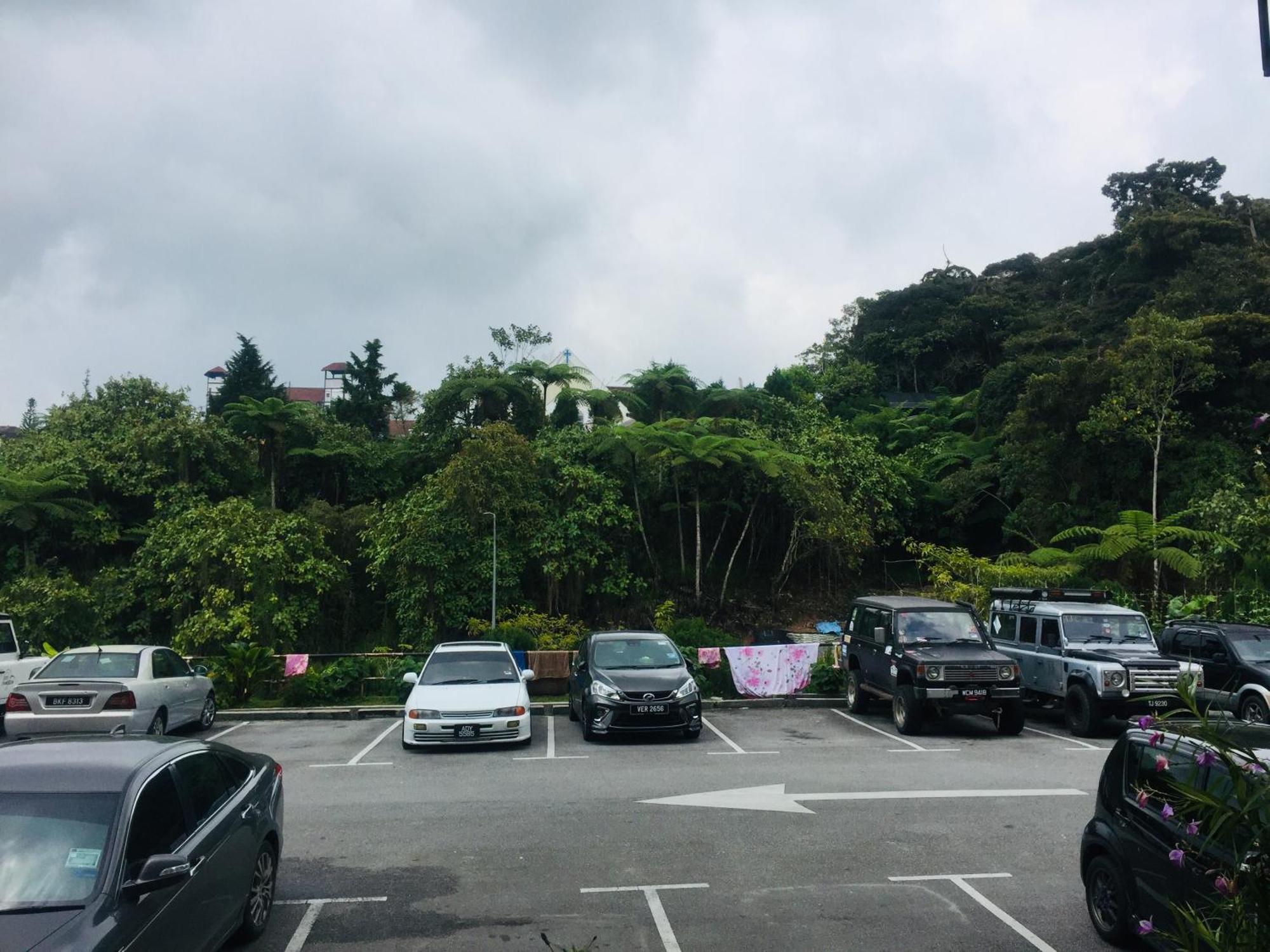 Lily Haven Hotel C-1 Tanah Rata Exterior photo